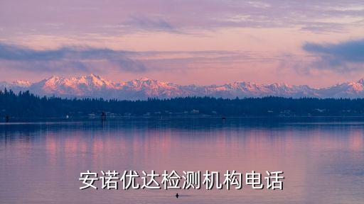 北京安諾析思國(guó)際咨詢有限公司