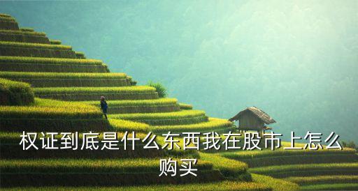  權證到底是什么東西我在股市上怎么購買