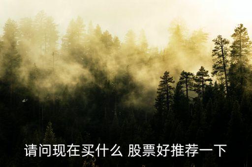 請(qǐng)問現(xiàn)在買什么 股票好推薦一下