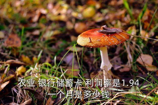 農業(yè) 銀行儲蓄卡 利潤率是1.94一個月是多少錢