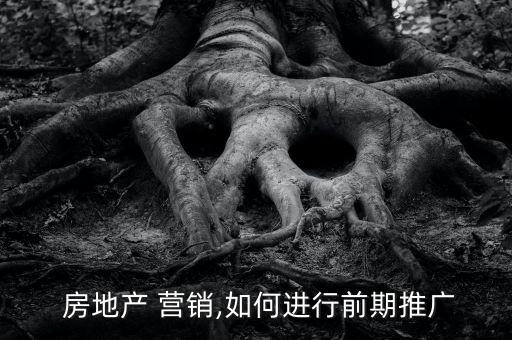 房地產(chǎn)營(yíng)銷(xiāo)轉(zhuǎn)投資拓展