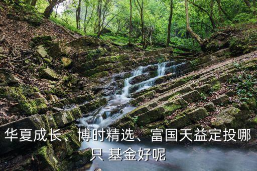 華夏成長、博時精選、富國天益定投哪只 基金好呢