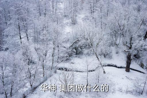  華神 集團(tuán)做什么的