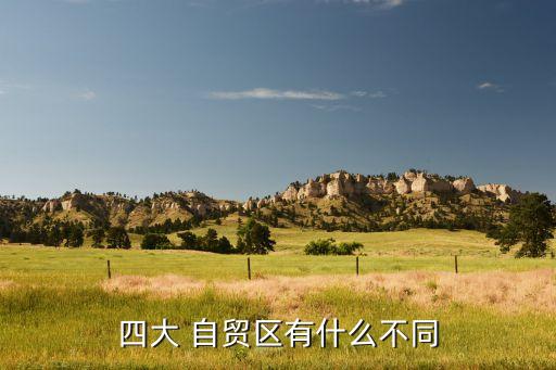 四大 自貿區(qū)有什么不同