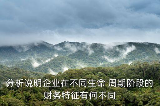 分析說明企業(yè)在不同生命 周期階段的財務特征有何不同