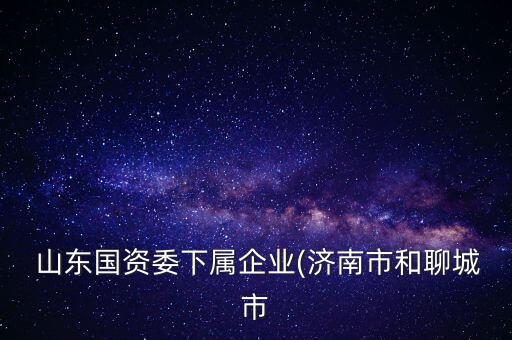  山東國資委下屬企業(yè)(濟(jì)南市和聊城市
