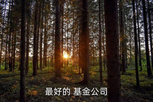 中國動(dòng)力基金,內(nèi)需動(dòng)力基金