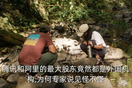 中國互聯網外資,互聯網和外資企業(yè)哪個好