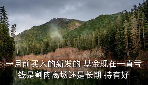 一月前買(mǎi)入的新發(fā)的 基金現(xiàn)在一直虧錢(qián)是割肉離場(chǎng)還是長(zhǎng)期 持有好