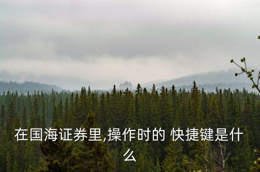 在國海證券里,操作時(shí)的 快捷鍵是什么