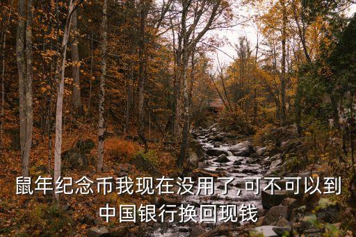 鼠年紀(jì)念幣我現(xiàn)在沒(méi)用了,可不可以到中國(guó)銀行換回現(xiàn)錢(qián)