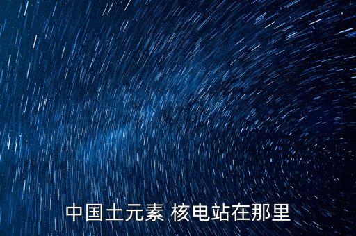 中國(guó)土元素 核電站在那里