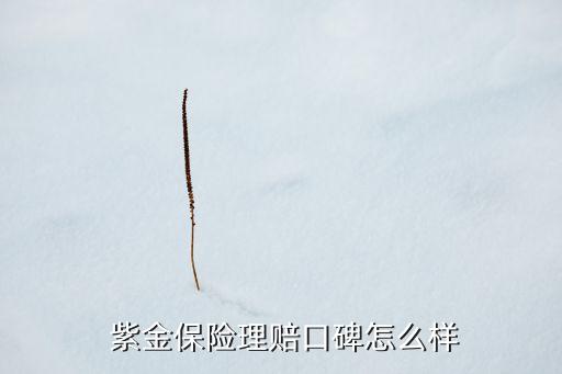  紫金保險理賠口碑怎么樣