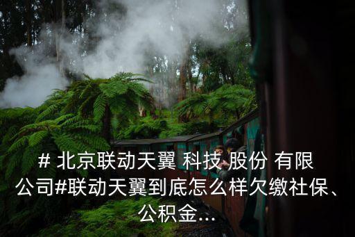 # 北京聯(lián)動天翼 科技 股份 有限公司#聯(lián)動天翼到底怎么樣欠繳社保、公積金...