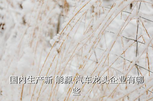 國(guó)內(nèi)生產(chǎn)新 能源 汽車龍頭企業(yè)有哪些