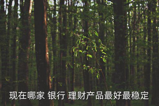 現(xiàn)在哪家 銀行 理財產(chǎn)品最好最穩(wěn)定