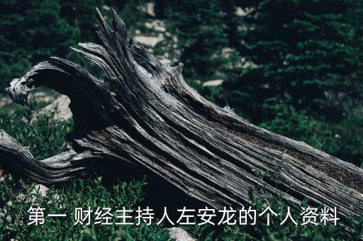  第一 財經主持人左安龍的個人資料