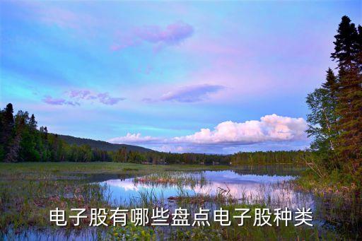 電子股有哪些盤(pán)點(diǎn)電子股種類(lèi)