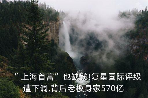“ 上海首富”也缺錢(qián)!復(fù)星國(guó)際評(píng)級(jí)遭下調(diào),背后老板身家570億