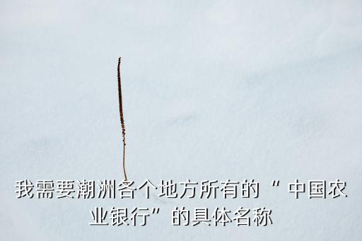 中國(guó)農(nóng)業(yè)銀行百色新廣支行