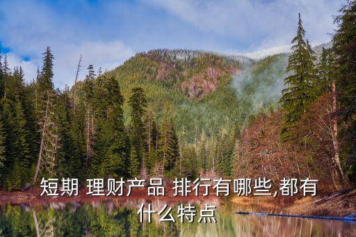 銀行短期理財(cái)產(chǎn)品排行哪家好,購買銀行短期理財(cái)產(chǎn)品的會(huì)計(jì)處理