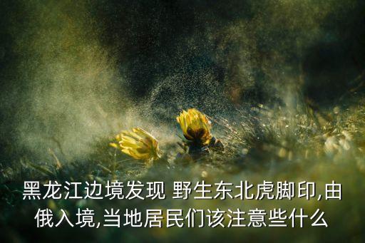 中國(guó)邊境線(xiàn)野生動(dòng)物