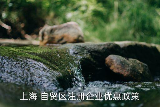 上海 自貿區(qū)注冊企業(yè)優(yōu)惠政策