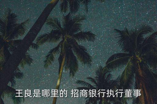 招商銀行安徽分行行長(zhǎng)