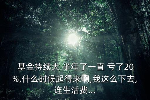  基金持續(xù)大 半年了一直 虧了20%,什么時(shí)候起得來(lái)啊,我這么下去,連生活費(fèi)...