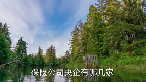 中國太平金融保險集團(tuán)北京分公司