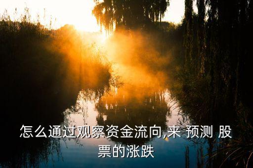 怎么通過觀察資金流向,來 預(yù)測(cè) 股票的漲跌