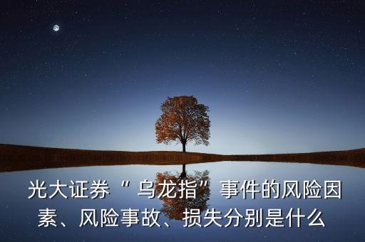  光大證券“ 烏龍指”事件的風(fēng)險因素、風(fēng)險事故、損失分別是什么