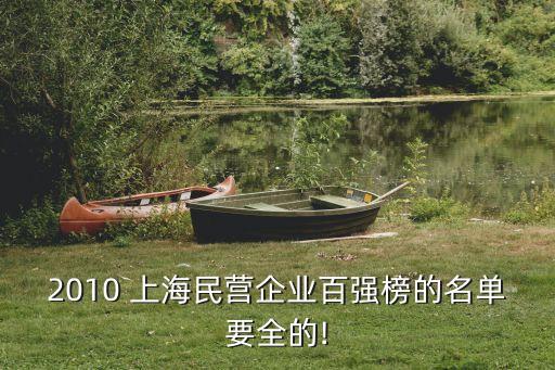 2010 上海民營(yíng)企業(yè)百?gòu)?qiáng)榜的名單要全的!