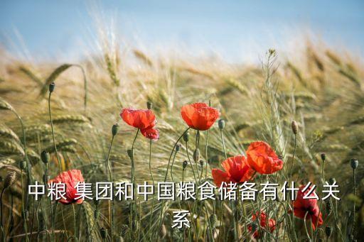  中糧 集團和中國糧食儲備有什么關(guān)系
