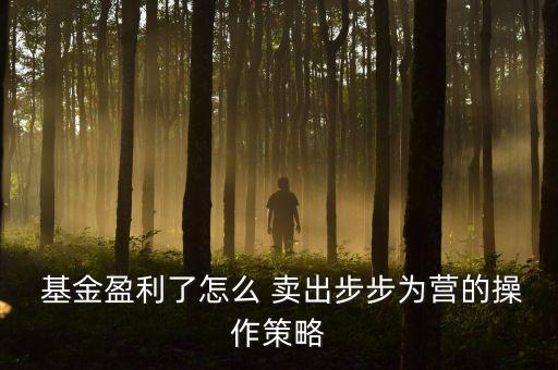  基金盈利了怎么 賣出步步為營(yíng)的操作策略
