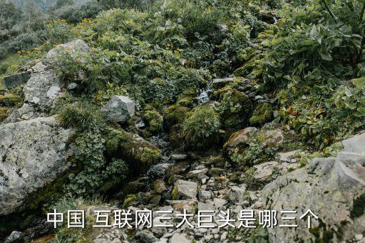 中國 互聯網三大巨頭是哪三個