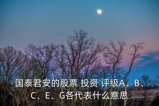 國泰君安的股票 投資 評級A、B、C、E、G各代表什么意思