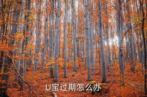 U寶過(guò)期怎么辦