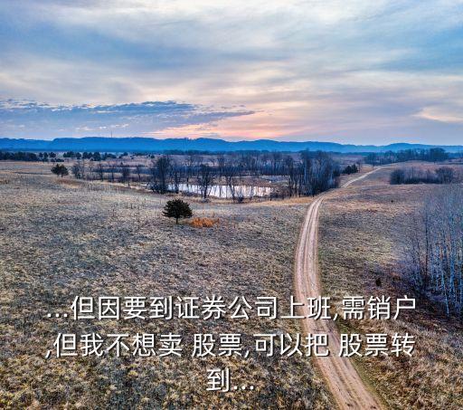 ...但因要到證券公司上班,需銷(xiāo)戶(hù),但我不想賣(mài) 股票,可以把 股票轉(zhuǎn)到...