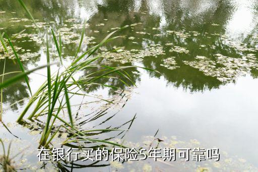 在銀行買的保險5年期可靠嗎
