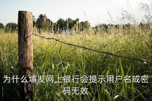 為什么埔發(fā)網(wǎng)上銀行會(huì)提示用戶名或密碼無效