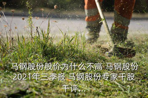  馬鋼股份股價(jià)為什么不高 馬鋼股份2021年三季報(bào) 馬鋼股份專家千股千評...