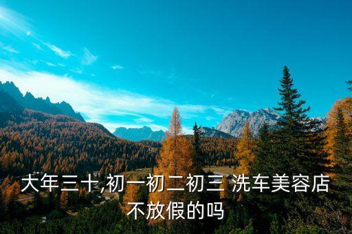 北京春節(jié)洗車,對于春節(jié)洗車漲價的看法