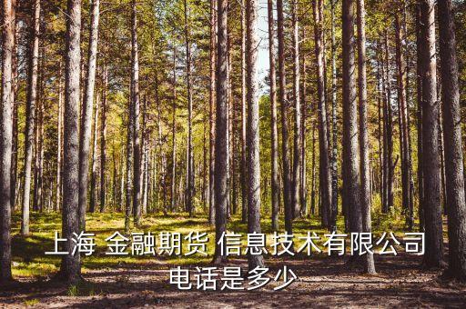  上海 金融期貨 信息技術有限公司電話是多少