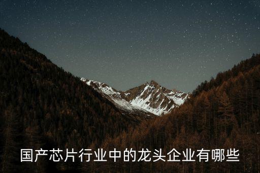 國產芯片行業(yè)中的龍頭企業(yè)有哪些