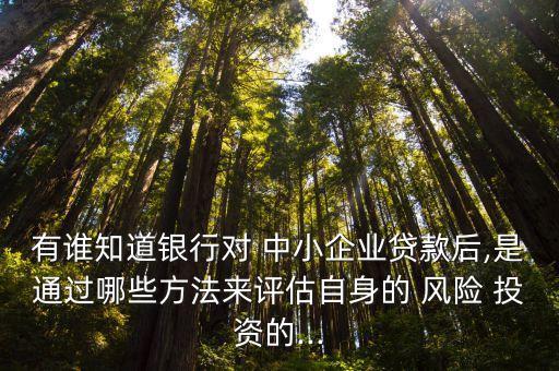 有誰(shuí)知道銀行對(duì) 中小企業(yè)貸款后,是通過(guò)哪些方法來(lái)評(píng)估自身的 風(fēng)險(xiǎn) 投資的...