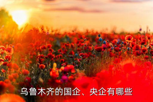 烏魯木齊的國企、央企有哪些