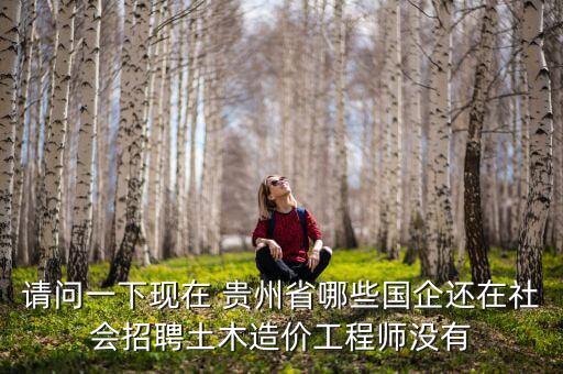 貴州星網視易責任有限責任公司