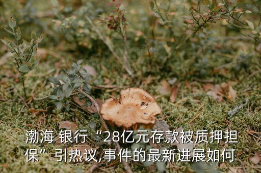  渤海 銀行“28億元存款被質(zhì)押擔(dān)?！币裏嶙h,事件的最新進(jìn)展如何