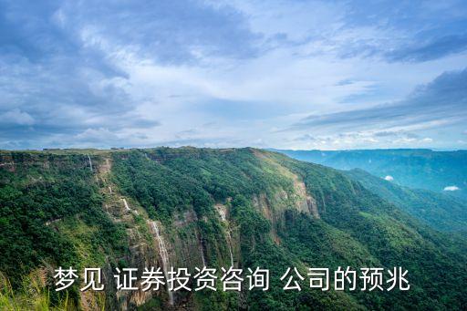 夢(mèng)見 證券投資咨詢 公司的預(yù)兆